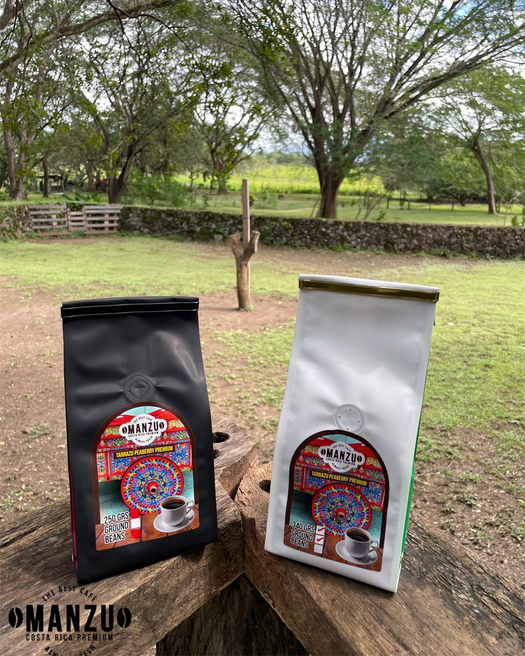 Bolsa de café tarrazu peaberry